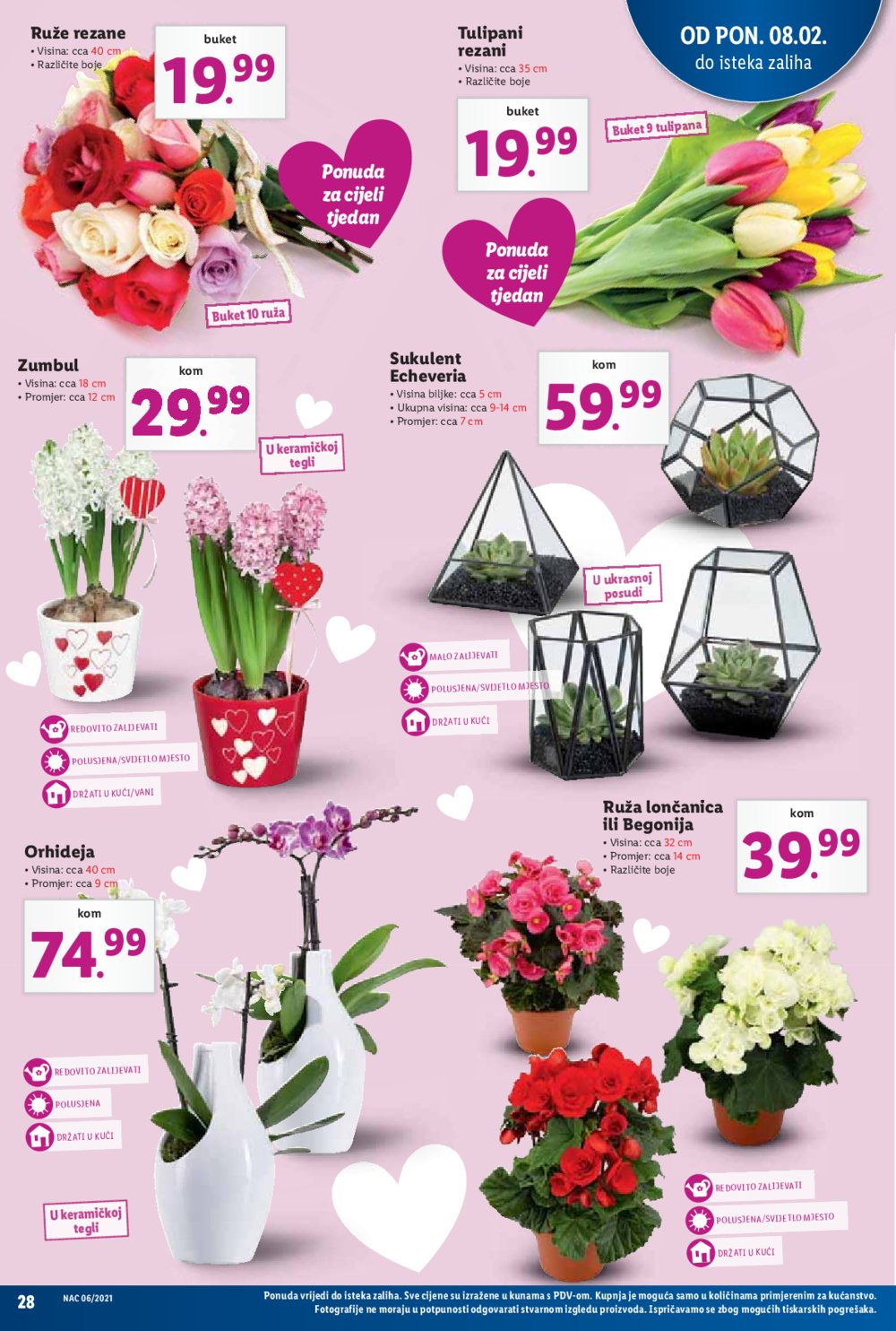 Lidl katalog Akcija 08.02.-14.02.2021.