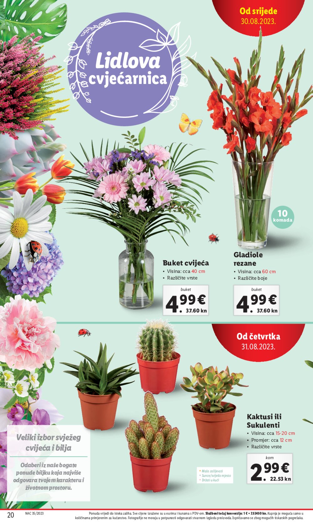 Lidl katalog Ponuda od četvrtka 31.08.-03.09.2023.