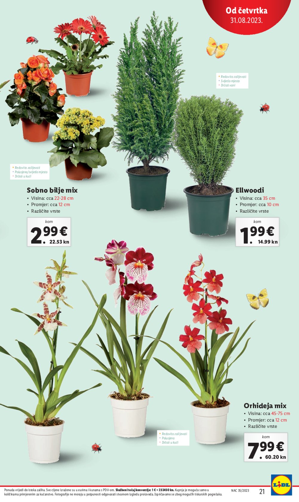Lidl katalog Ponuda od četvrtka 31.08.-03.09.2023.