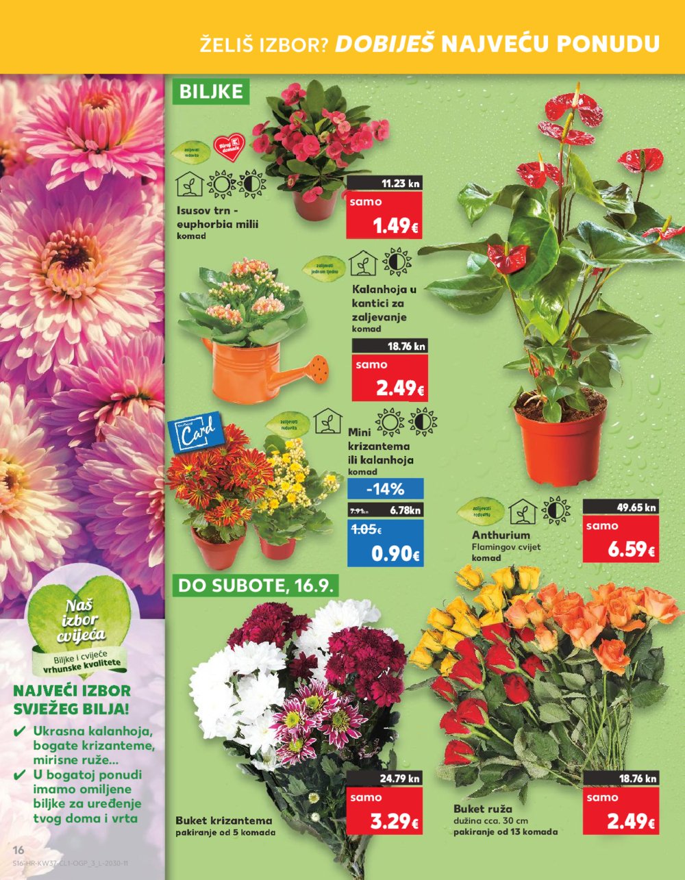 Kaufland katalog Akcija 13.09.-19.09.2023. Zd, Um, BNM, Pu, Ši, Tr, Rv, Po, Ma 