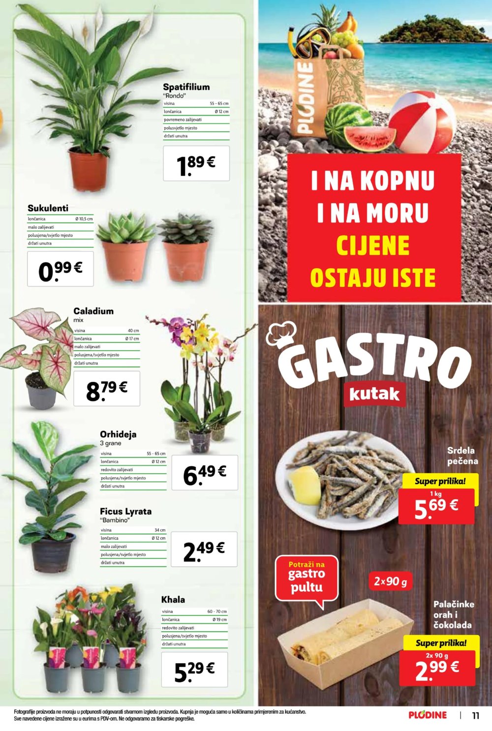 Plodine katalog Akcija 26.06.-02.07.2024. 