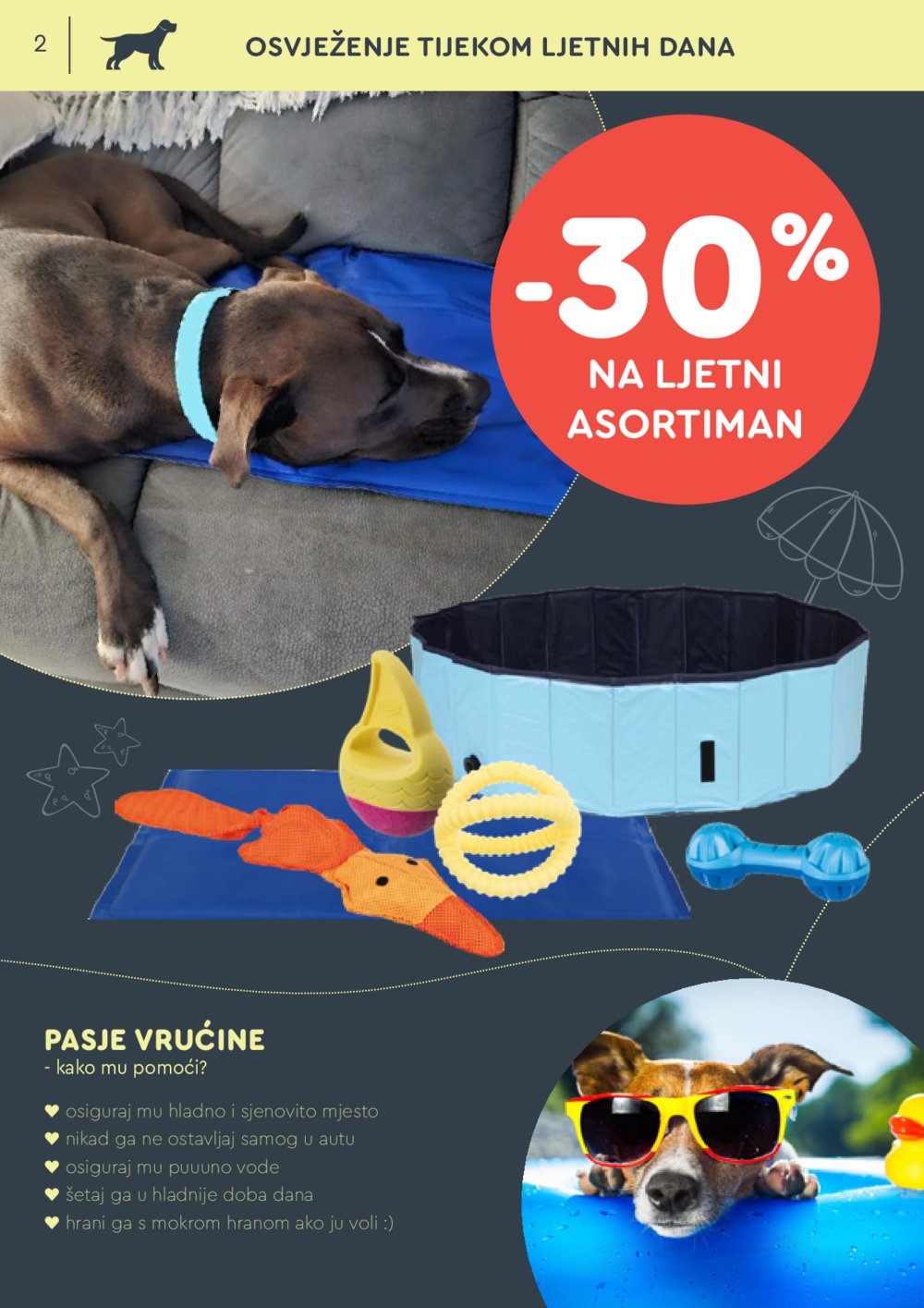 ZOOCITY katalog Akcija 01.07.-21.07.2024.