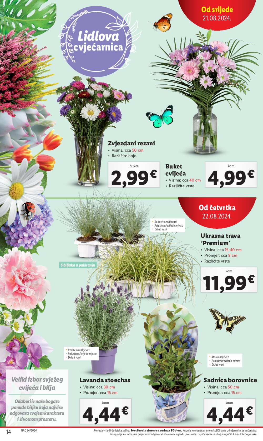 Lidl katalog Super ponuda od četvrtka 22.08. - 25.08.2024.