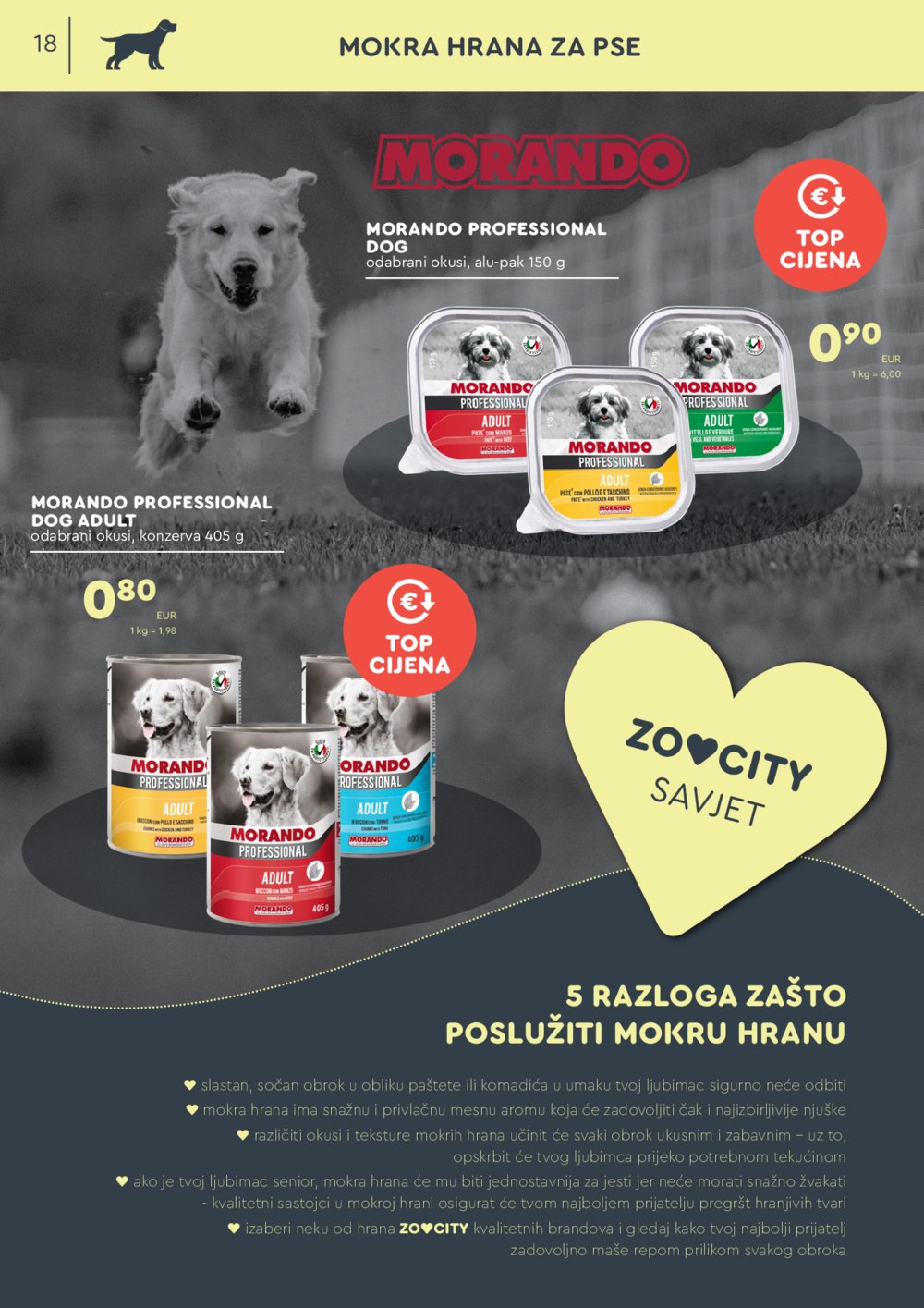 ZOOCITY katalog Akcija 02.09.-22.09.2024.