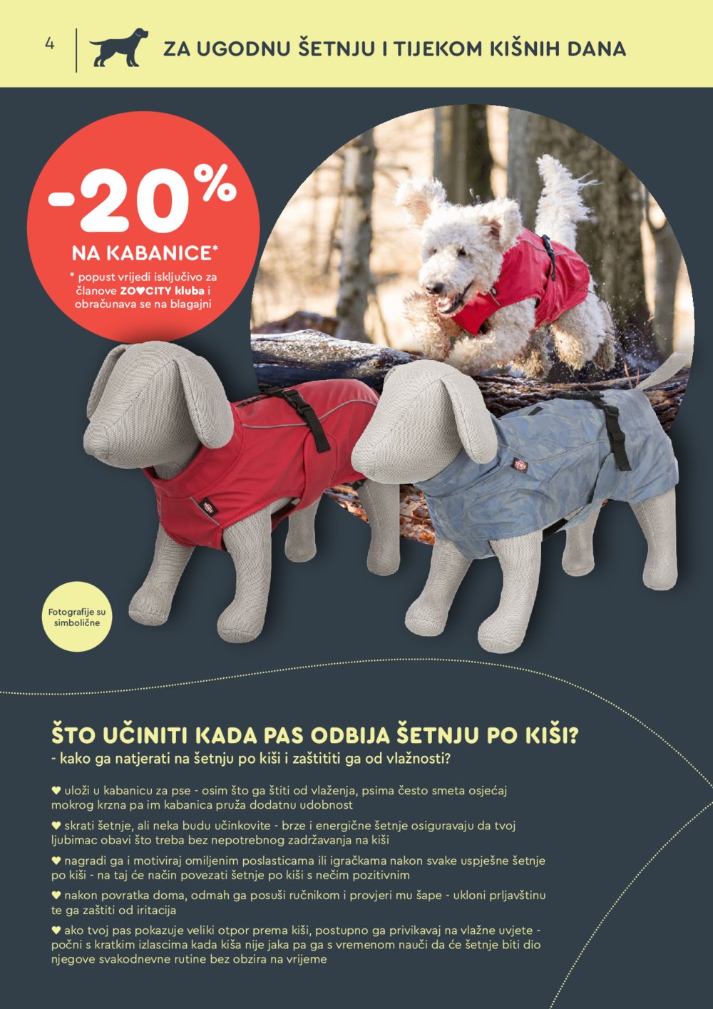 ZOOCITY katalog Akcija 07.10.-27.10.2024.