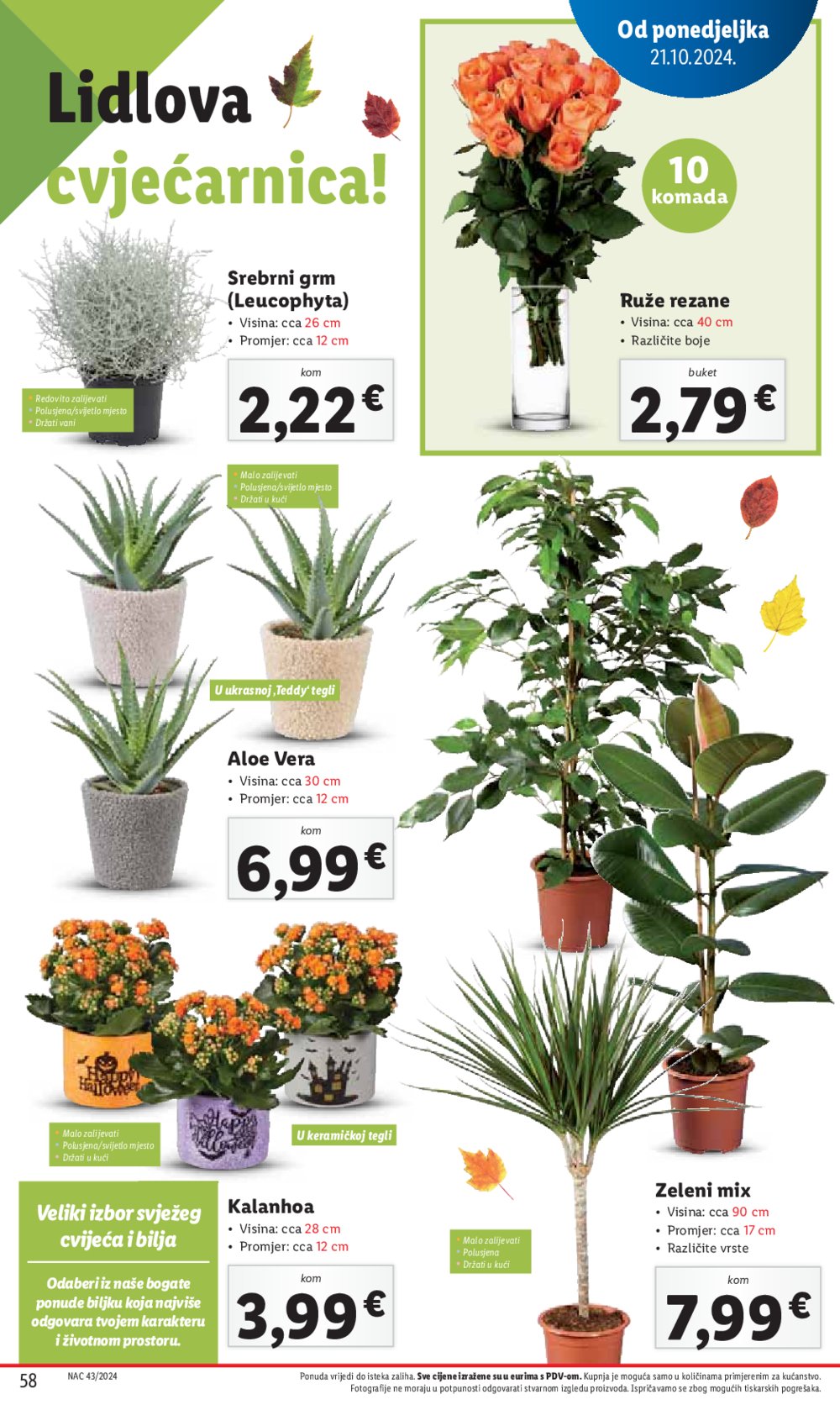 Lidl katalog Super ponuda od ponedjeljka 21.10.-27.10.2024.