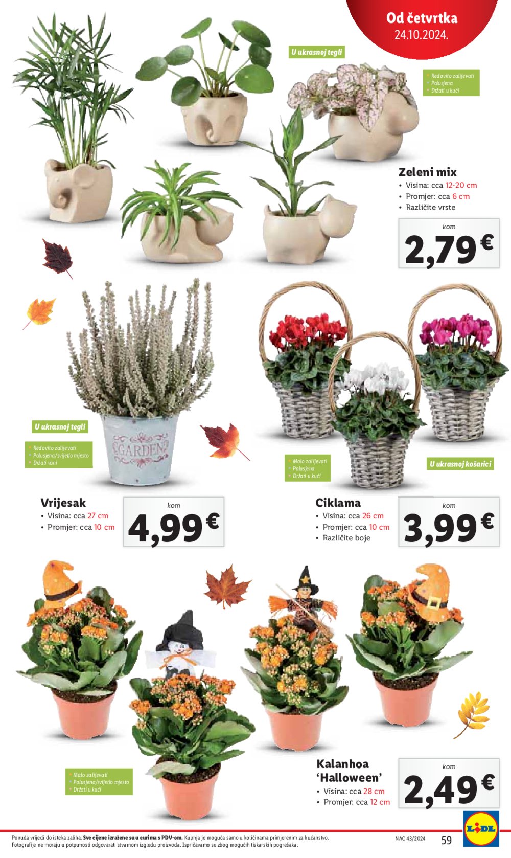 Lidl katalog Super ponuda od ponedjeljka 21.10.-27.10.2024.