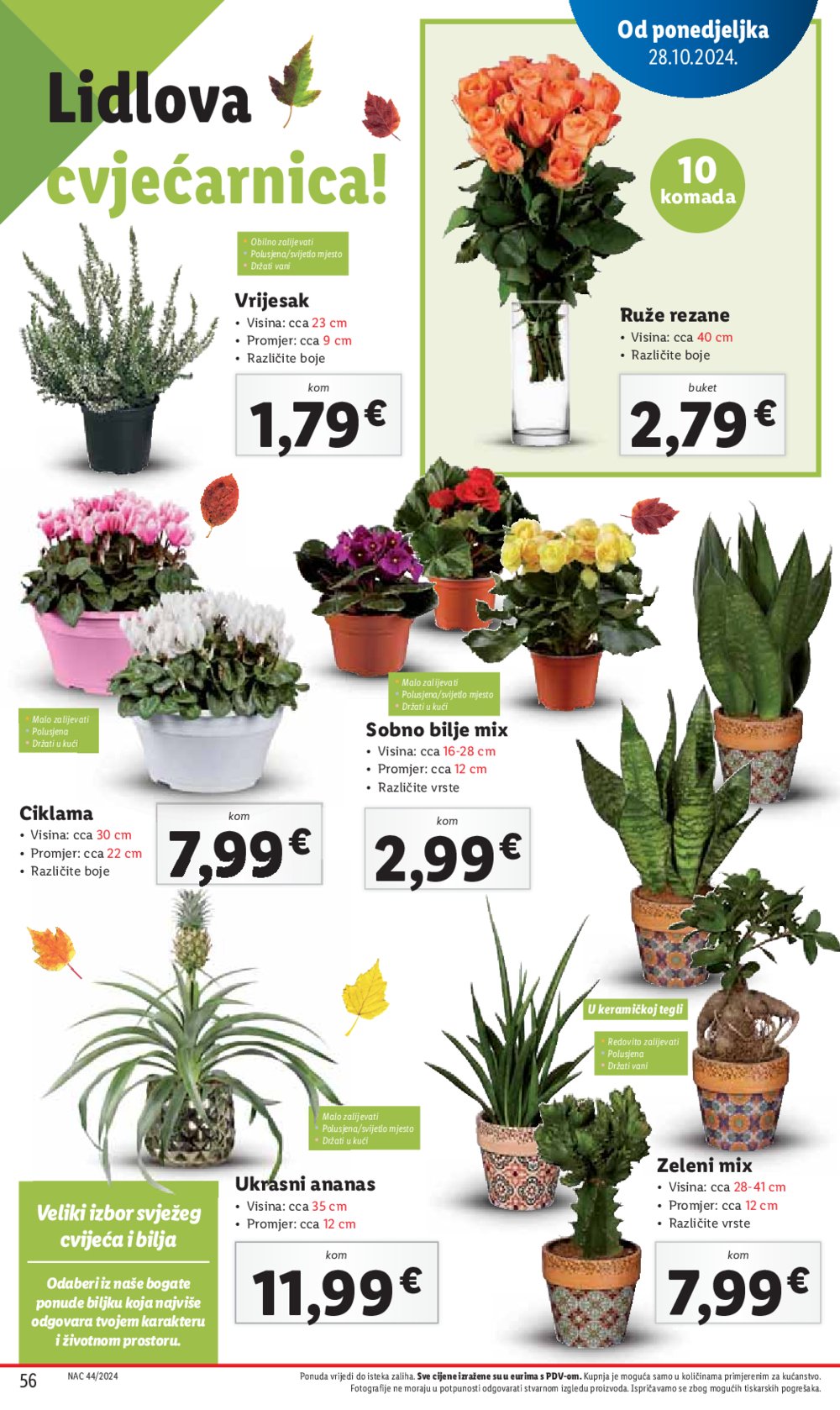 Lidl katalog Super ponuda od ponedjeljka 28.10.-03.11.2024.