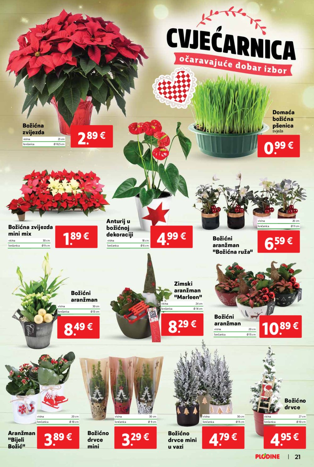 Plodine katalog Akcija 11.12.-17.12.2024.