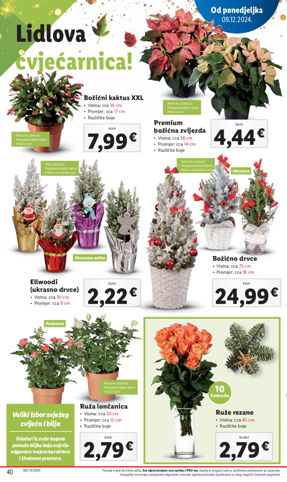 Lidl katalog Super ponuda od četvrtka 12.12.-15.12.2024.