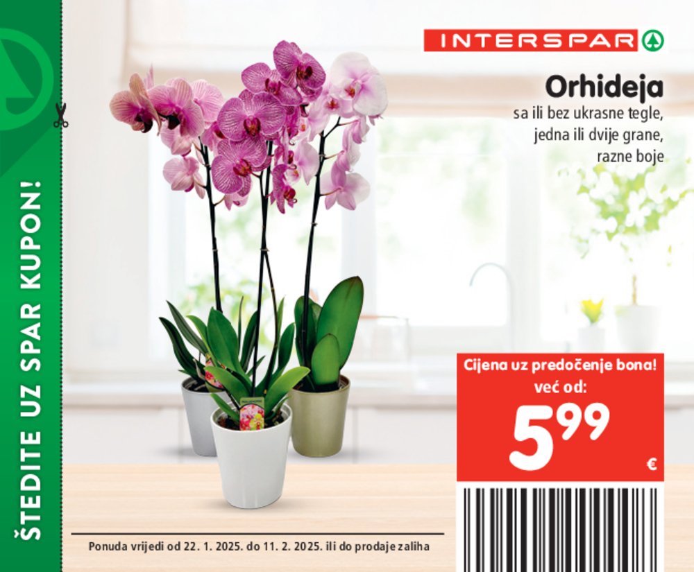 INTERSPAR katalog bonova 22.01.-11.02.2025.