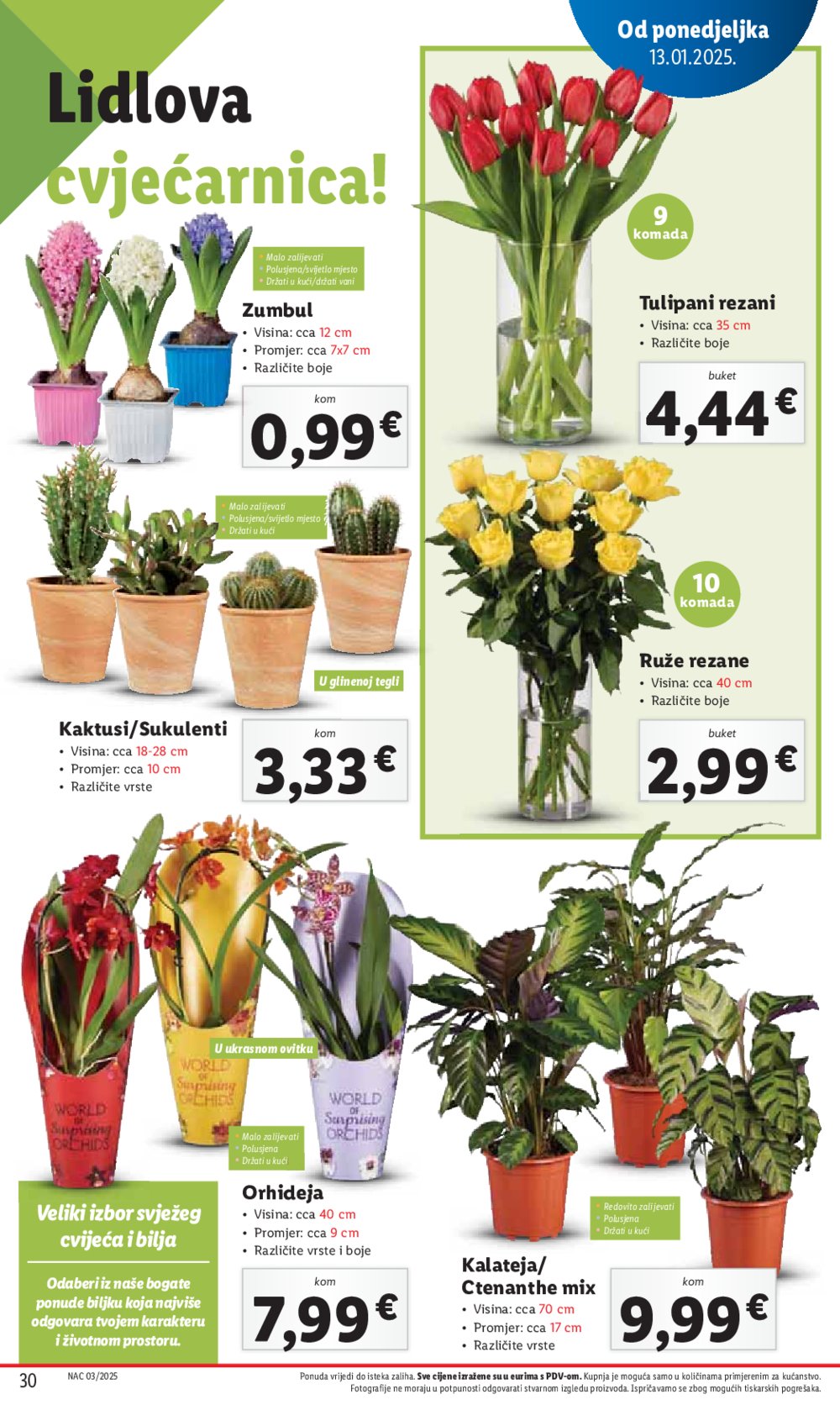 Lidl katalog Super ponuda od četvrtka 16.01.-18.01.2025.