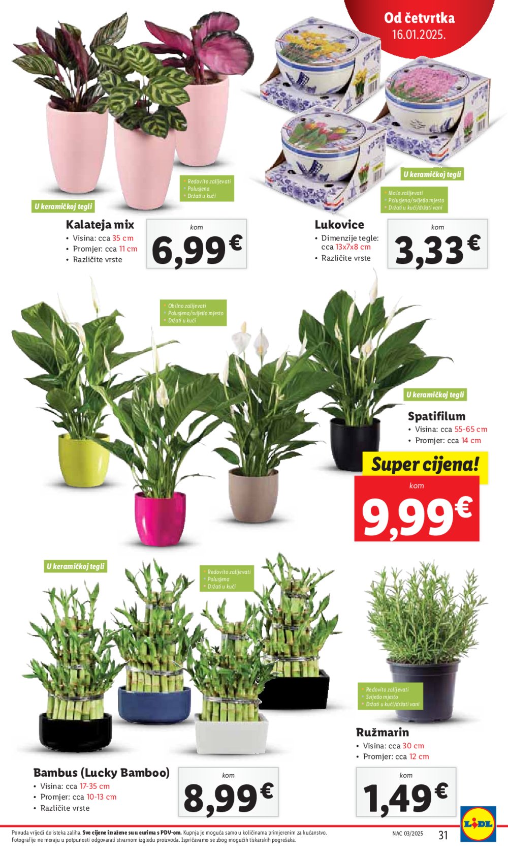 Lidl katalog Super ponuda od četvrtka 16.01.-18.01.2025.