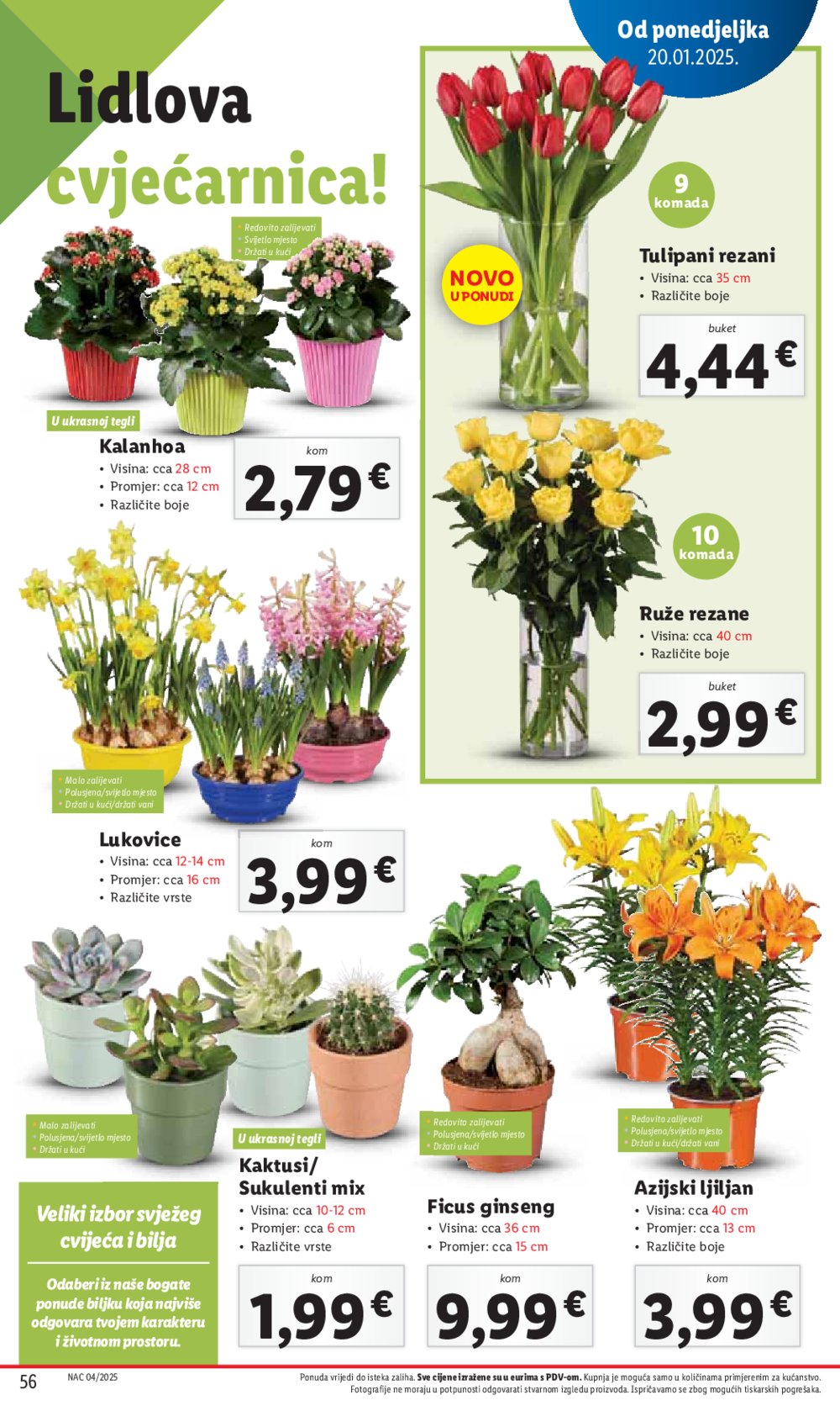 Lidl katalog Super ponuda od ponedjeljka 20.01.-25.01.2025.