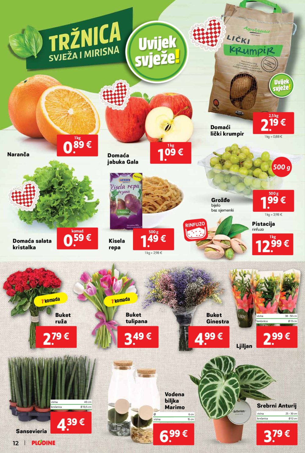 Plodine katalog Akcija 22.01.-28.01.2025.