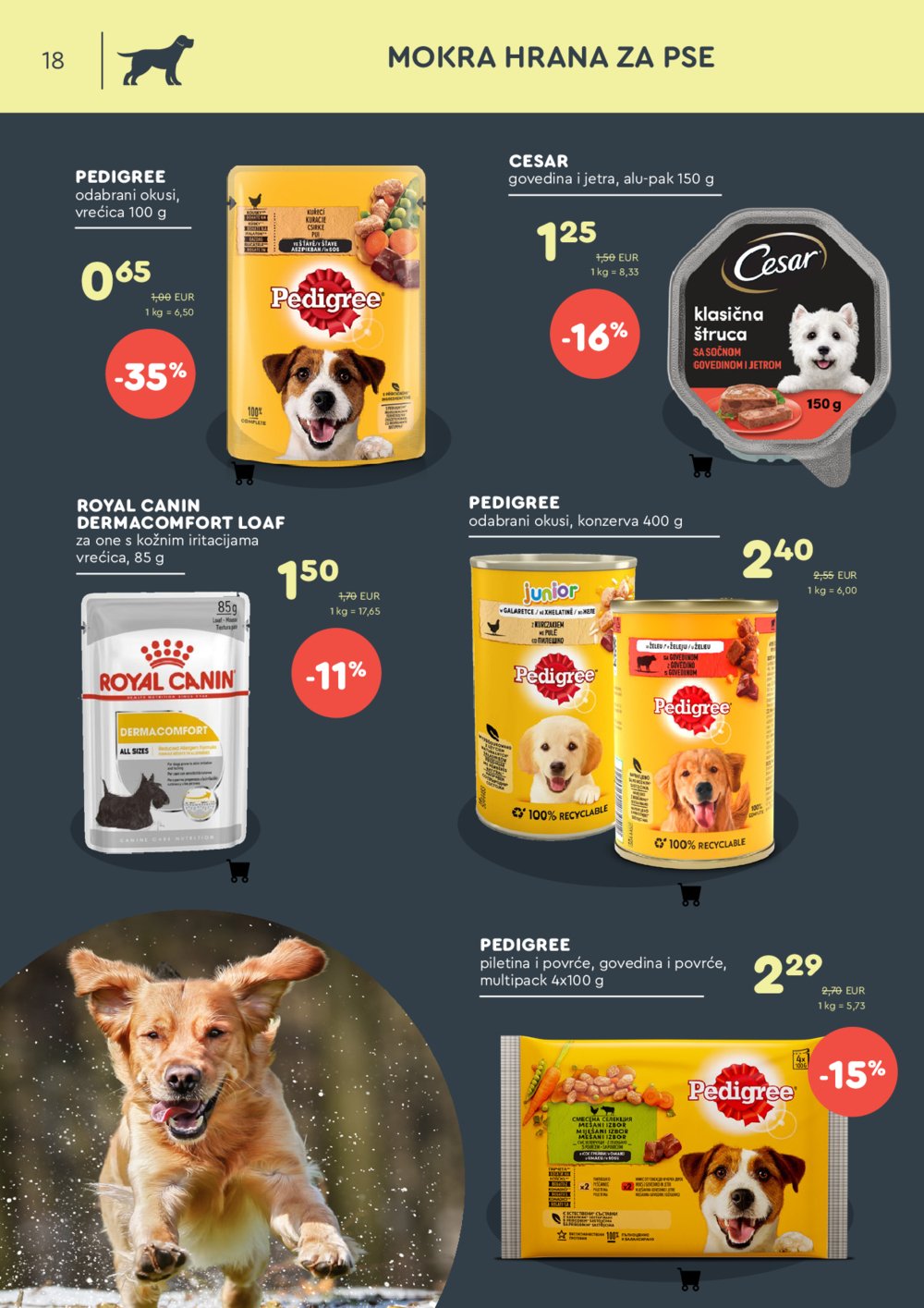 ZOOCITY katalog Akcija 31.01.-23.02.2025 .