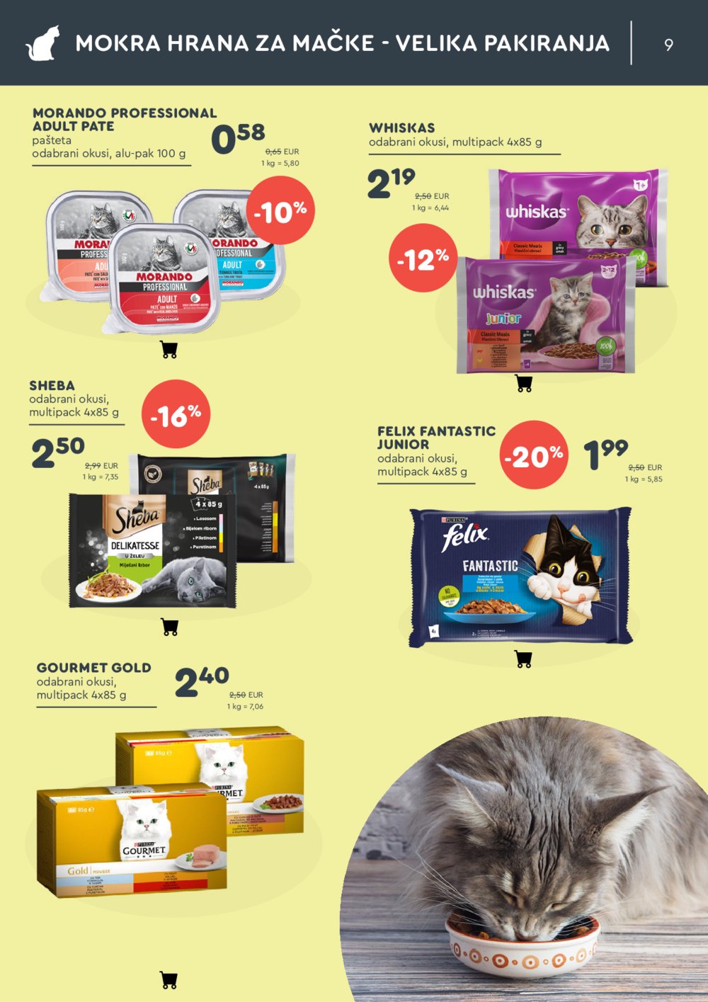 ZOOCITY katalog Akcija 31.01.-23.02.2025 .