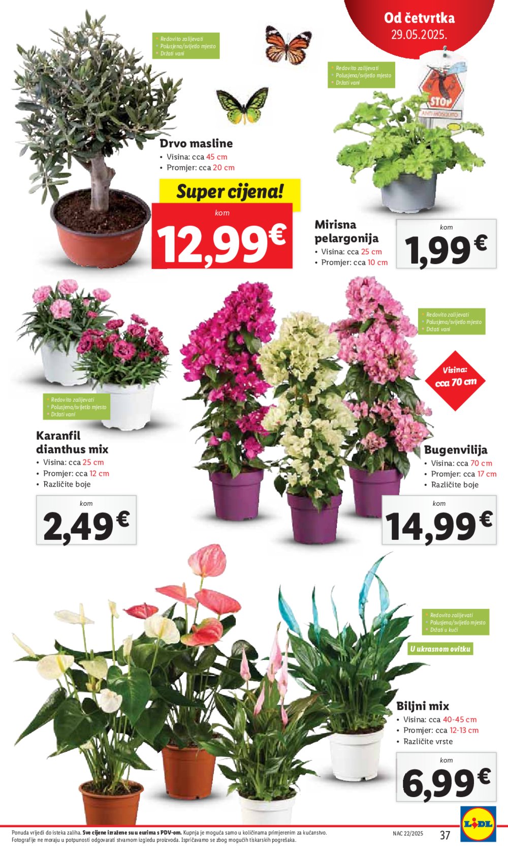 Lidl katalog Super ponuda od četvrtka 29.05.-01.06.2025.