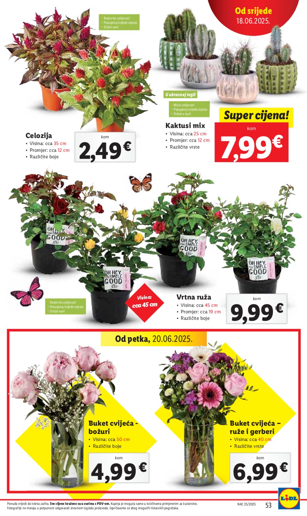 Lidl katalog Super ponuda od ponedjeljka 16.06.-22.06.2025.