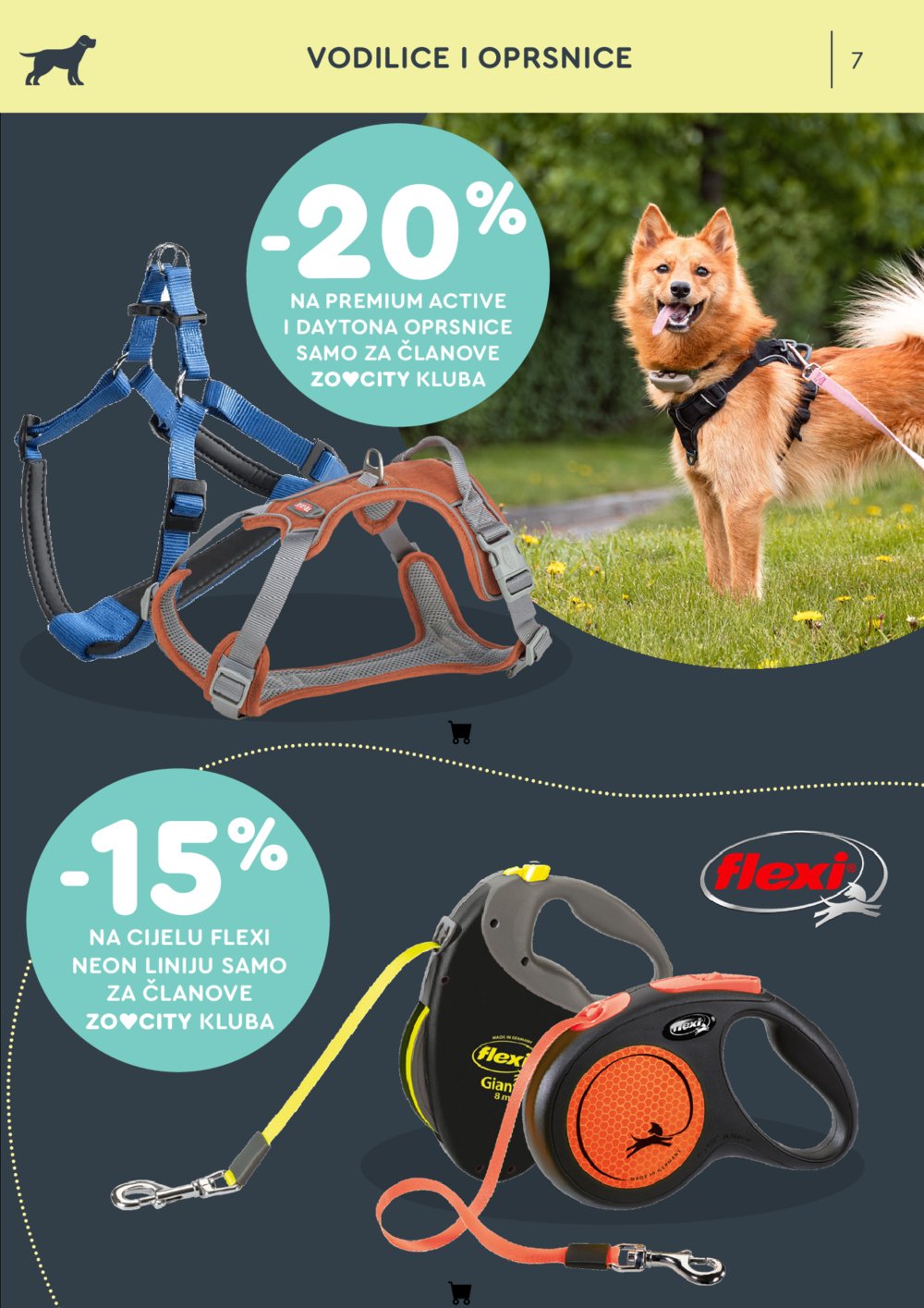ZOOCITY katalog Akcija 07.07.-27.07.2025.