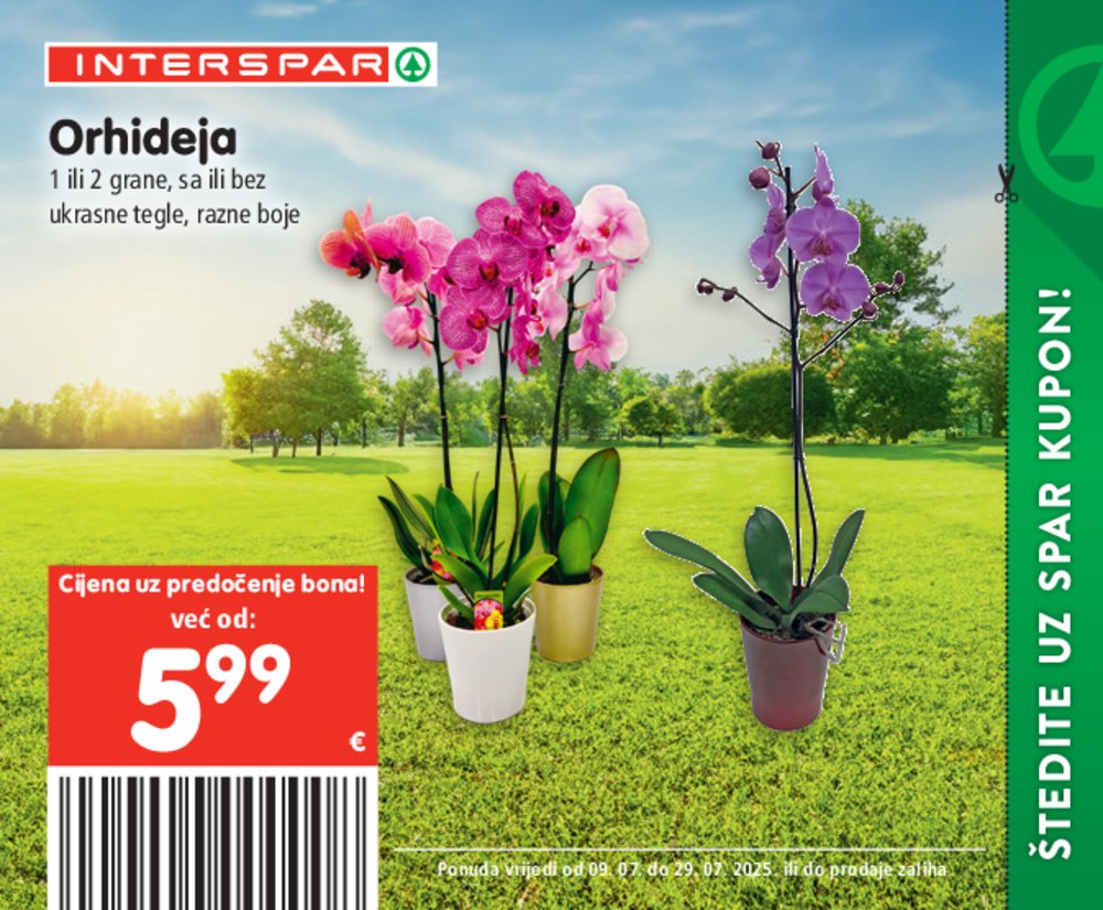 INTERSPAR katalog Akcija 09.07.-29.07.2025.