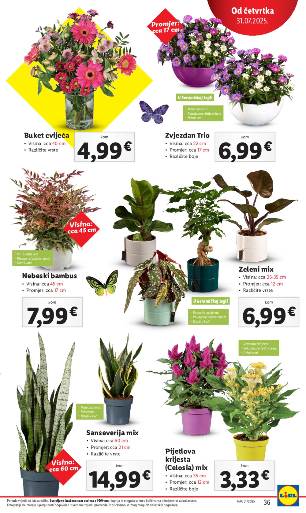 Lidl katalog Super ponuda od četvrtka 31.07. - 03.08.2025.