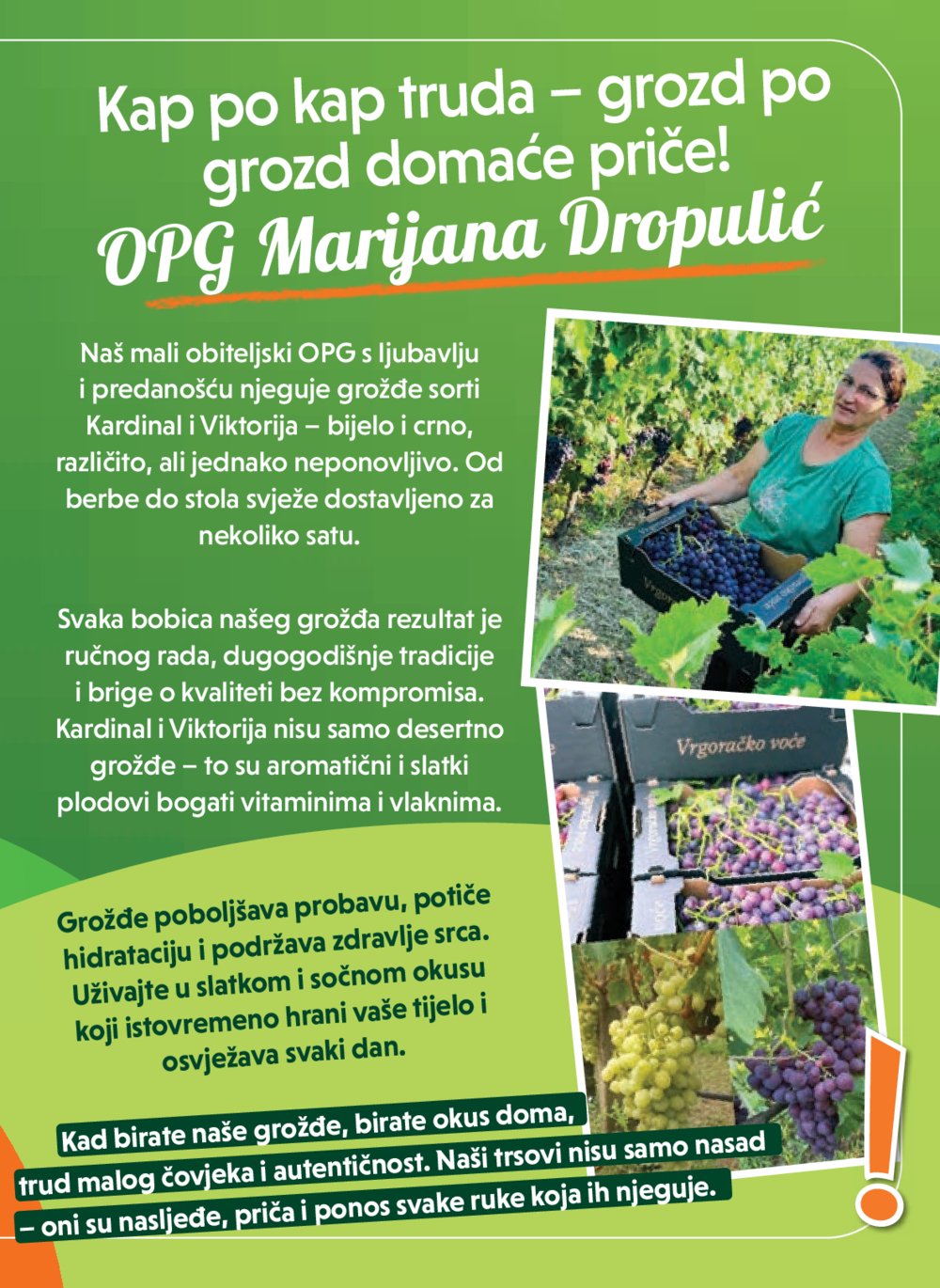 Studenac katalog Akcija 13.08.-26.08.2025.