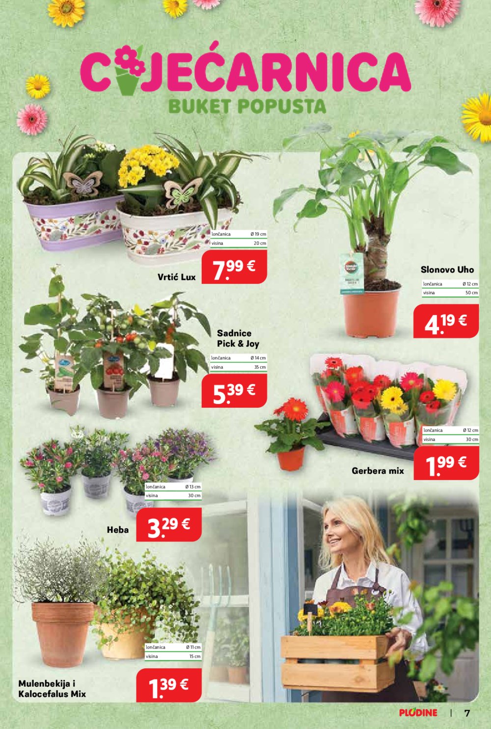 Plodine katalog Akcija 20.08.-26.08.2025.