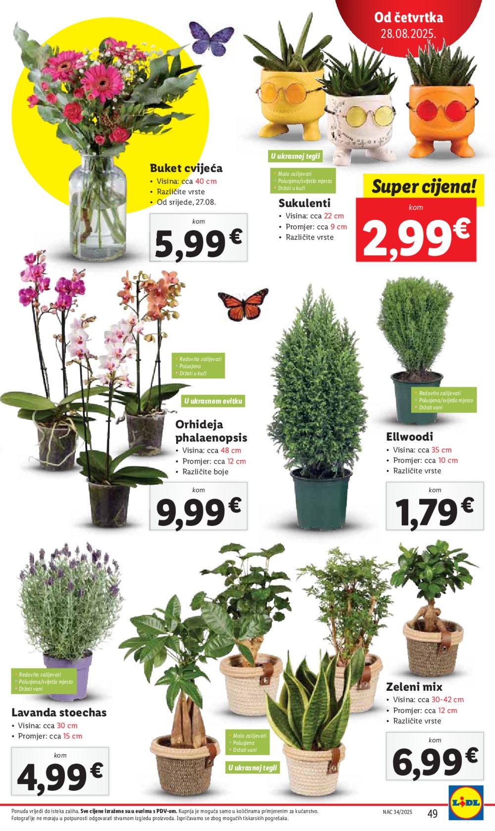 Lidl katalog Super ponuda od ponedjeljka 25.08. - 31.08.2025.