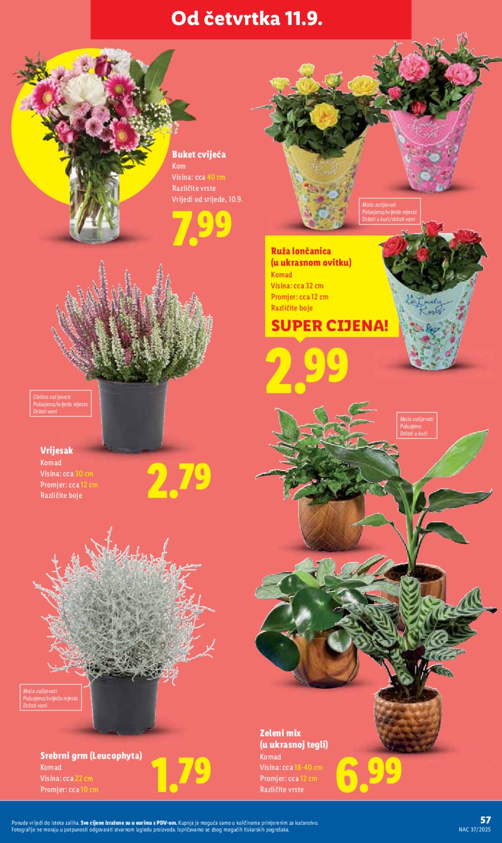 Lidl katalog Super ponuda od ponedjeljka 08.09. - 14.09.2025.