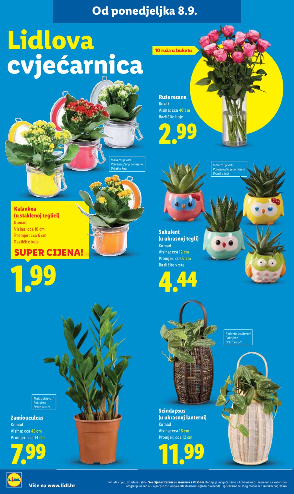 Lidl katalog Super ponuda od četvrtka 11.09. - 14.09.2025.