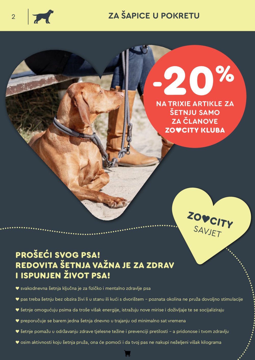 ZOOCITY katalog Akcija 08.09. - 28.09.2025.