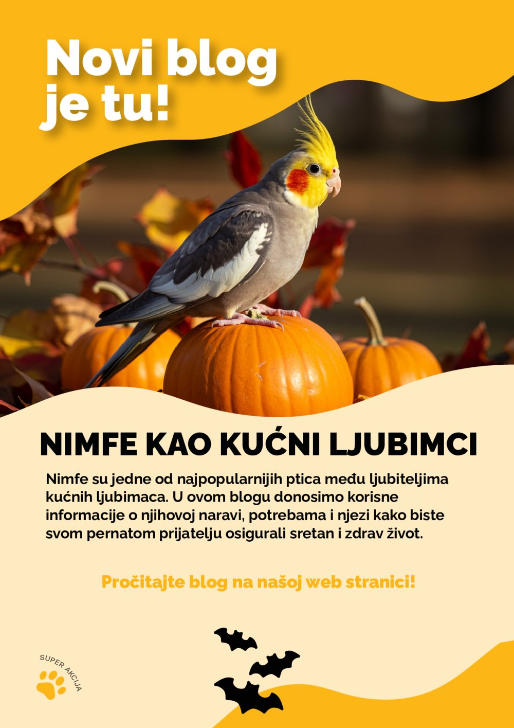 Pet Home Shop katalog Listopad 01.10.-31.10.2025.