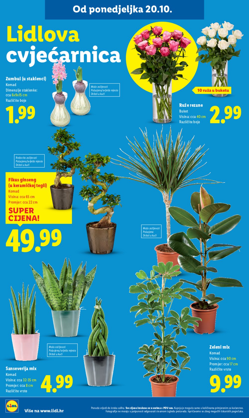 Lidl katalog Super ponuda od ponedjeljka 20.10.-26.10.2025.
