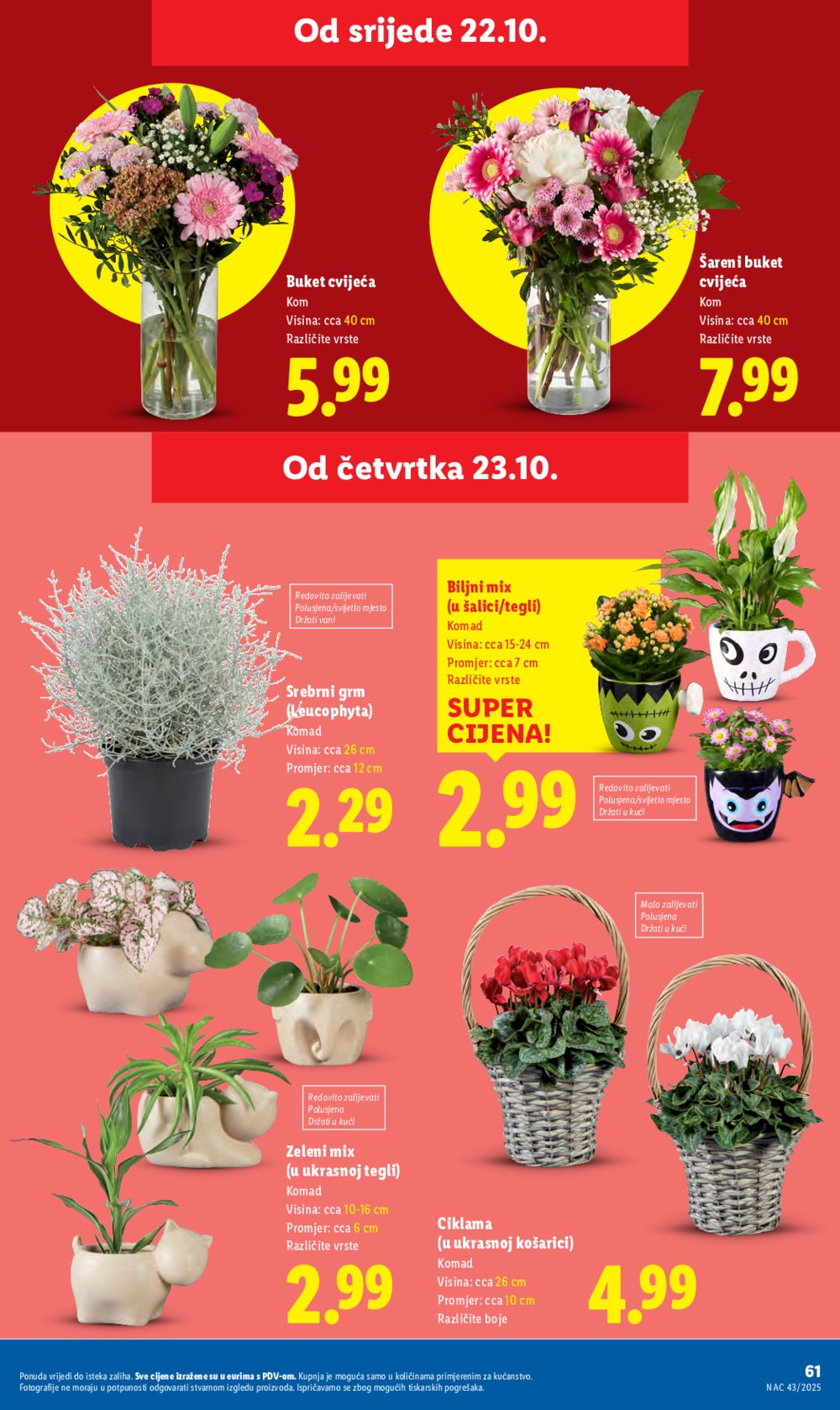 Lidl katalog Super ponuda od ponedjeljka 20.10.-26.10.2025.