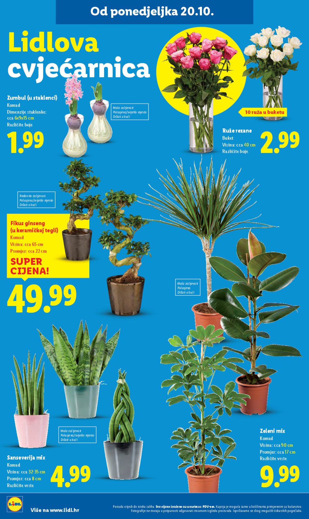 Lidl katalog Super ponuda od četvrtka 23.10. - 26.10.2025.