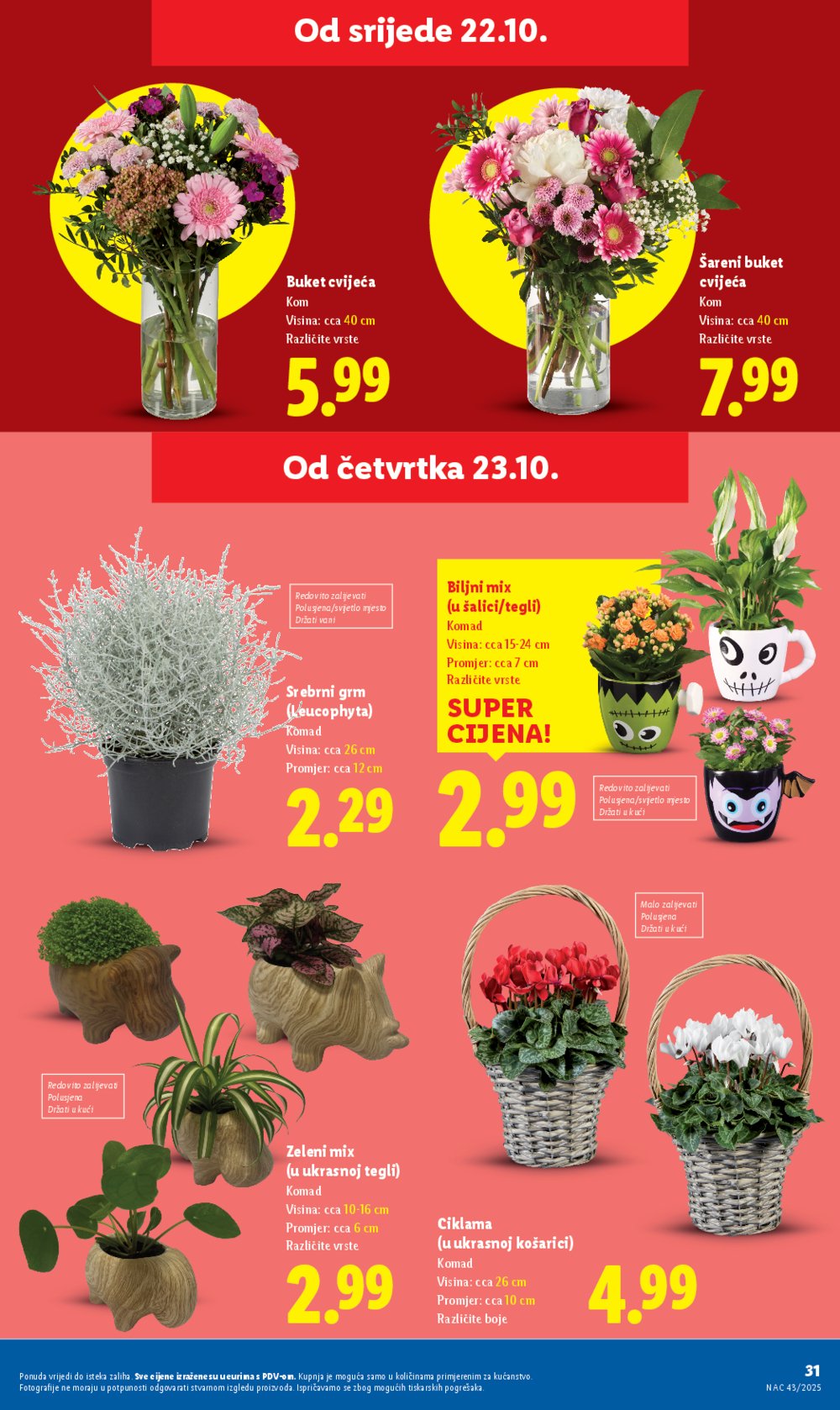 Lidl katalog Super ponuda od četvrtka 23.10. - 26.10.2025.