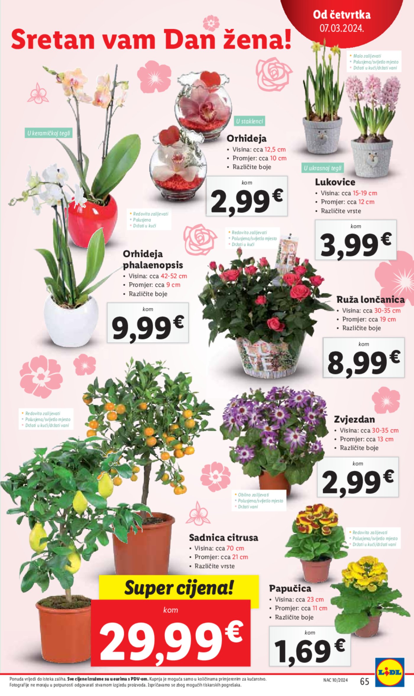 Lidl katalog Super ponuda od ponedjeljka 04.03.-10.03.2024.