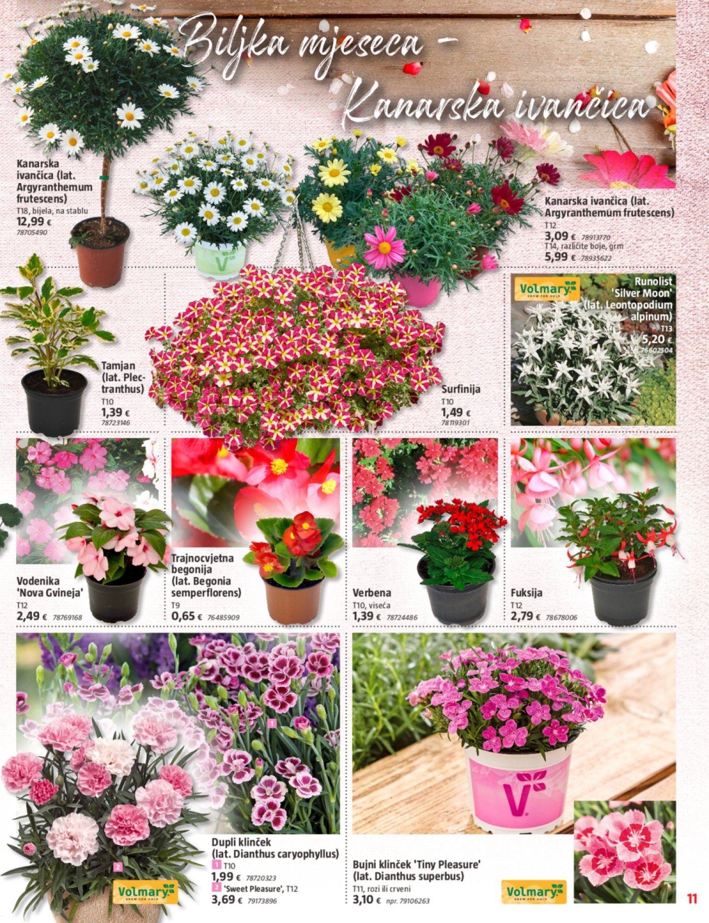 Bauhaus katalog Travanj 04.04.-01.05.2024.