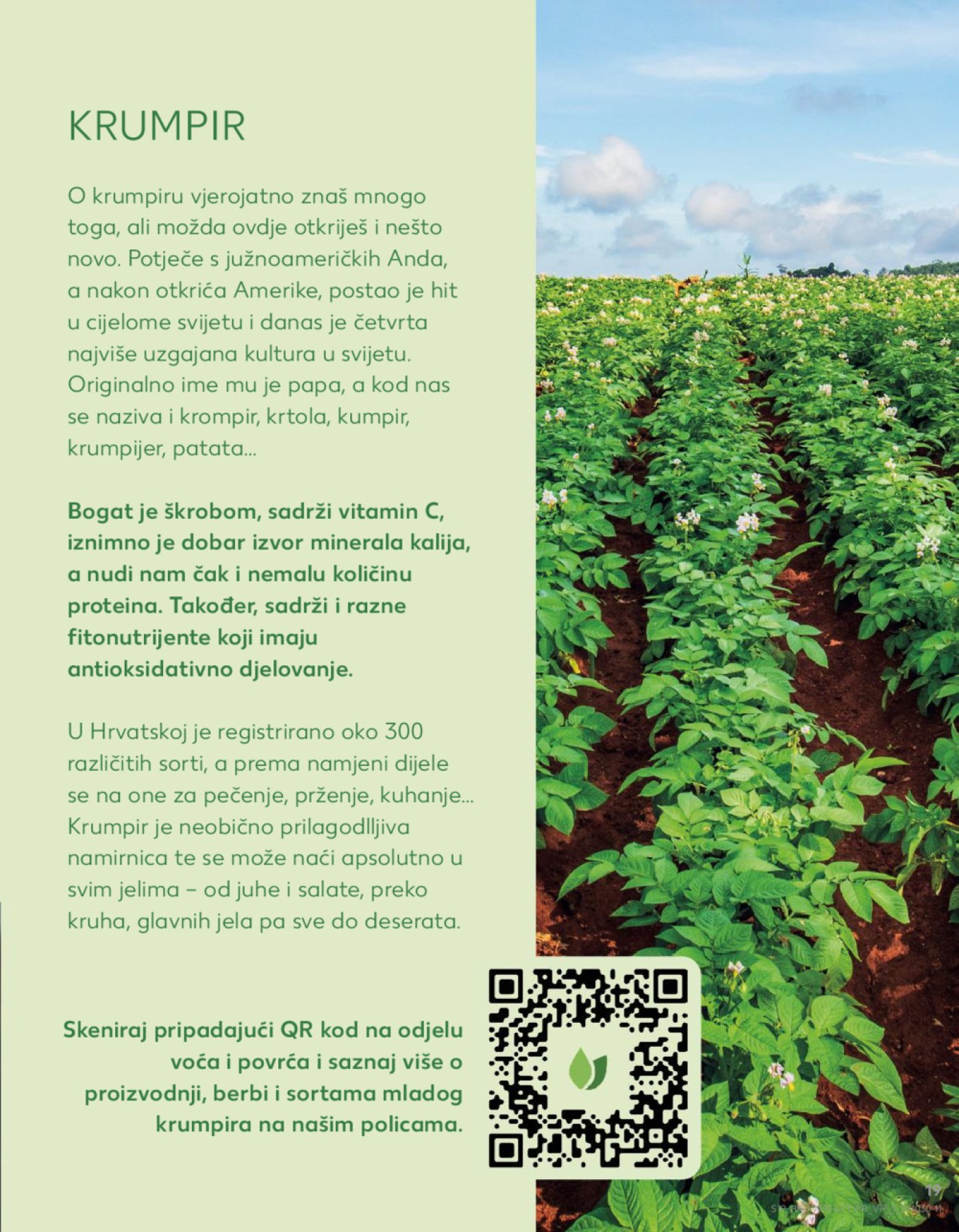 Kaufland katalog Akcija 31.07.-06.08.2024. Odabrane poslovnice