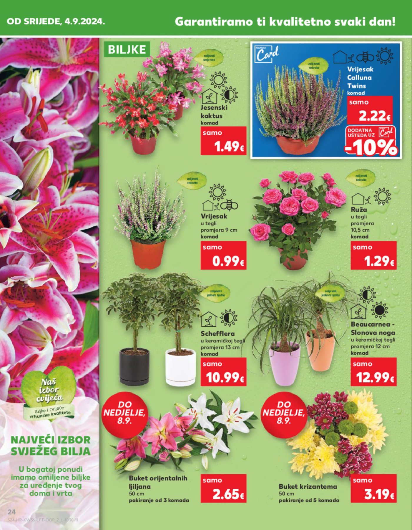 Kaufland katalog Akcija 04.09.-10.09.2024. Odabrane poslovnice