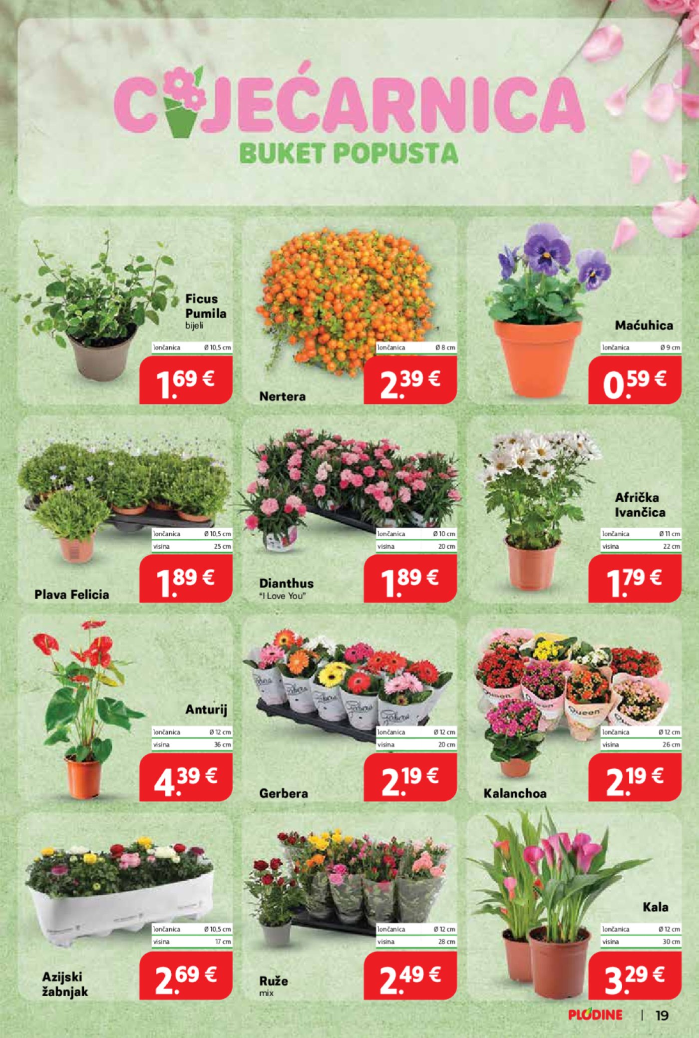 Plodine katalog Akcija 26.03.-01.04.2025.2025.