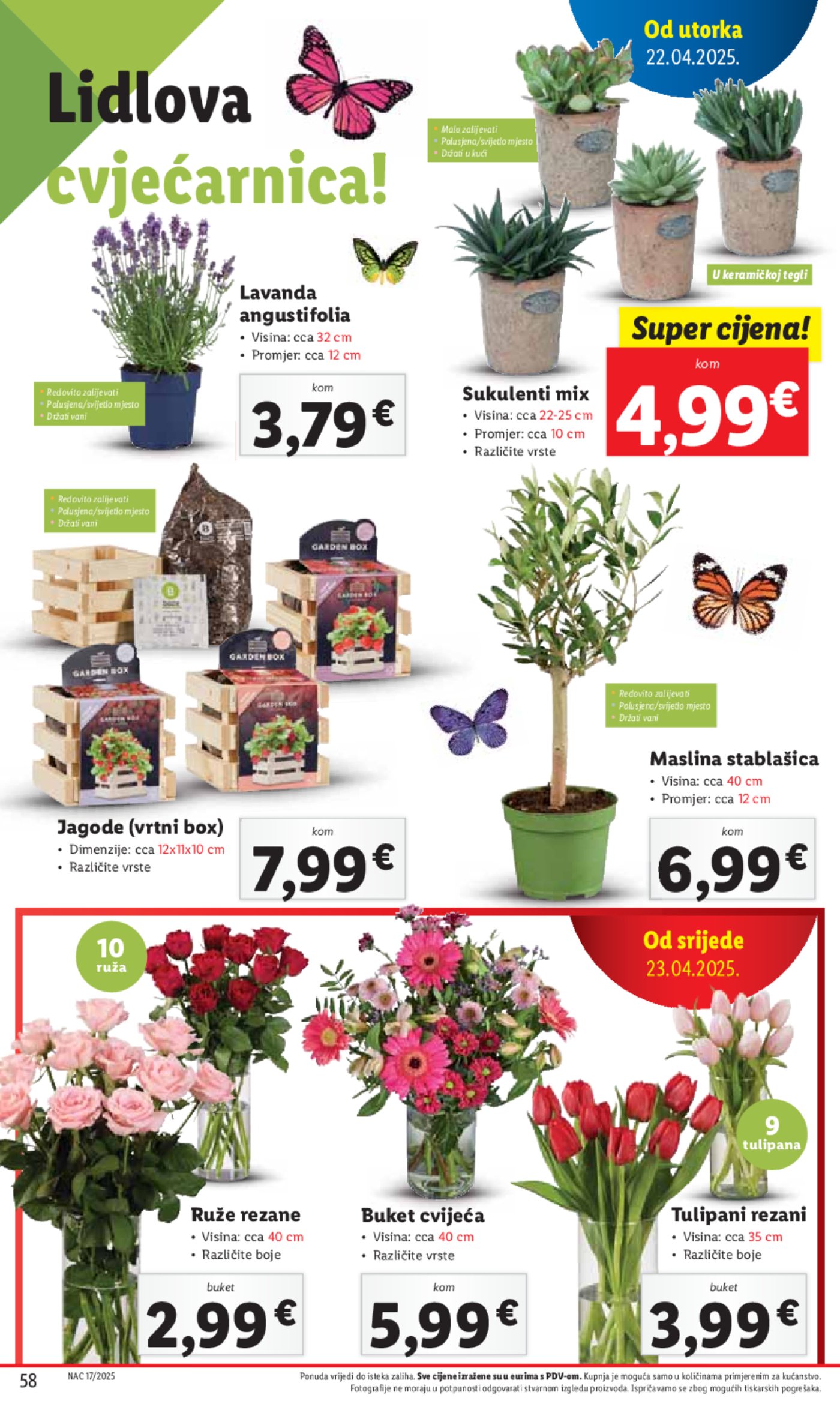 Lidl katalog Super ponuda od utorka 22.04. - 27.04.2025.