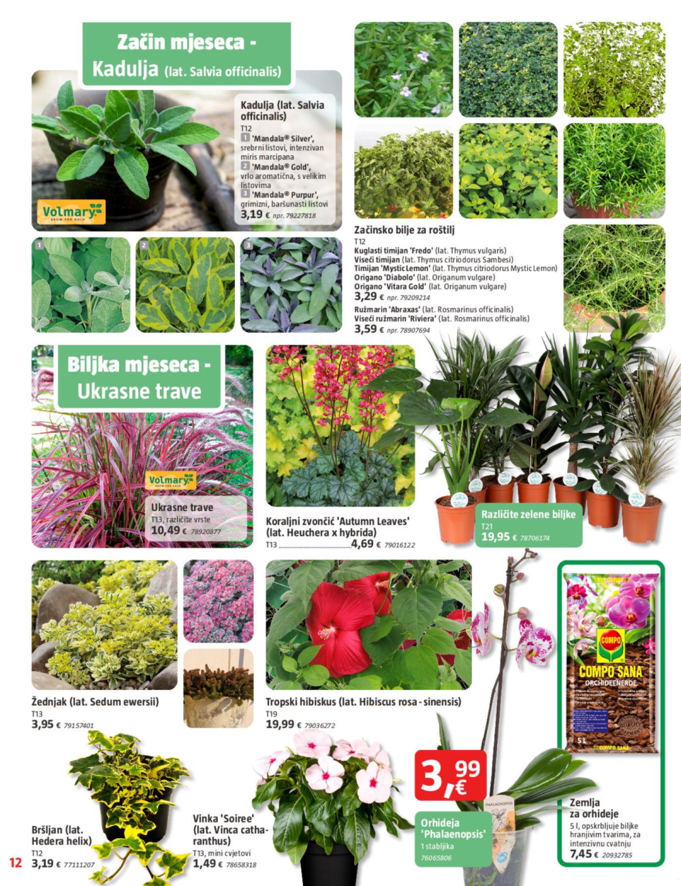 Bauhaus katalog Akcija 31.07. - 03.09.2025.