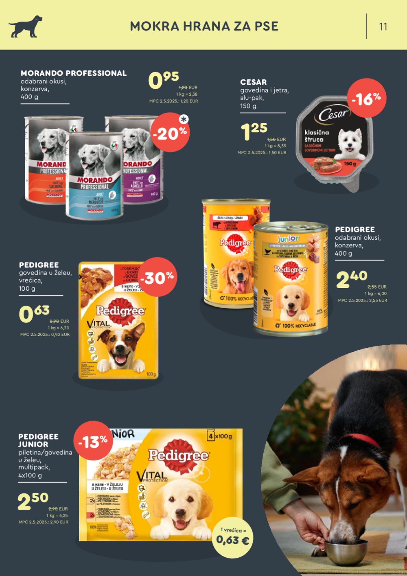 ZOOCITY katalog akcija 4.08.-24.08.2025.