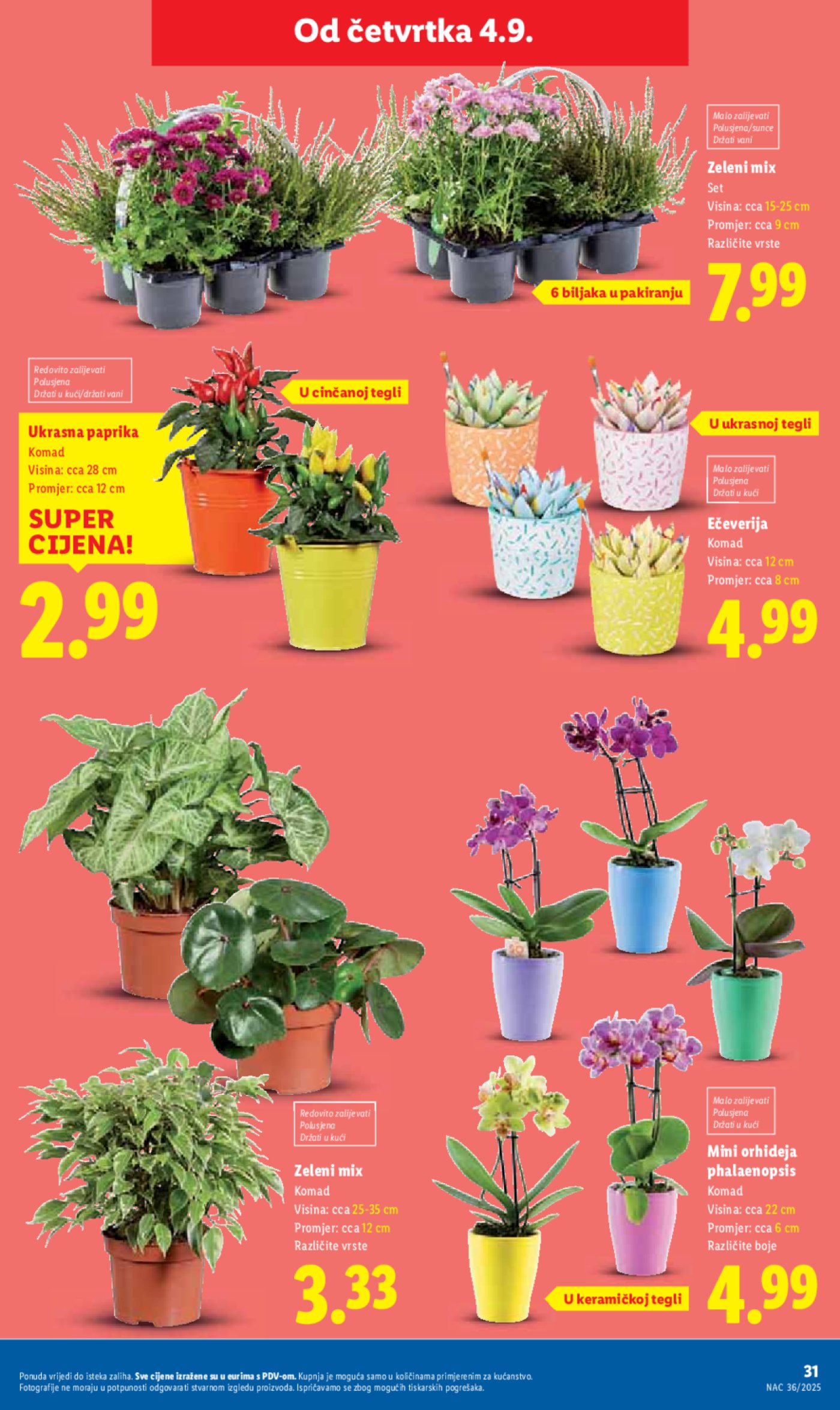 Lidl katalog Super ponuda od četvrtka 04.09. - 09.09.2025.