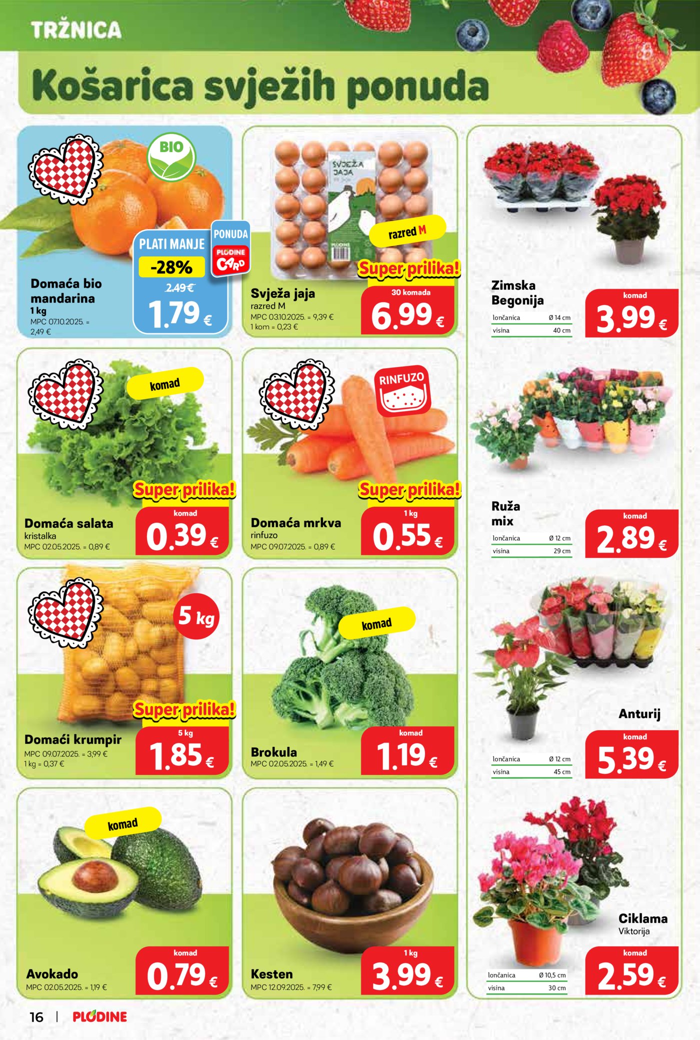 Plodine katalog Akcija 29.10. - 04.11.2025.