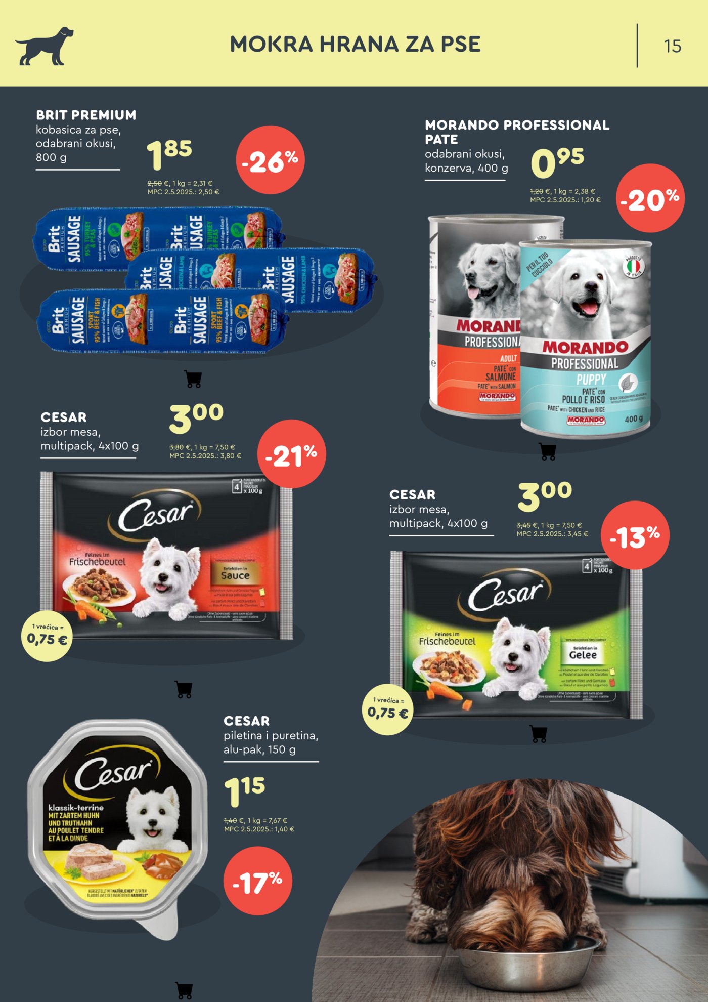 ZOOCITY katalog Studeni 06.11.-30.11.2025.