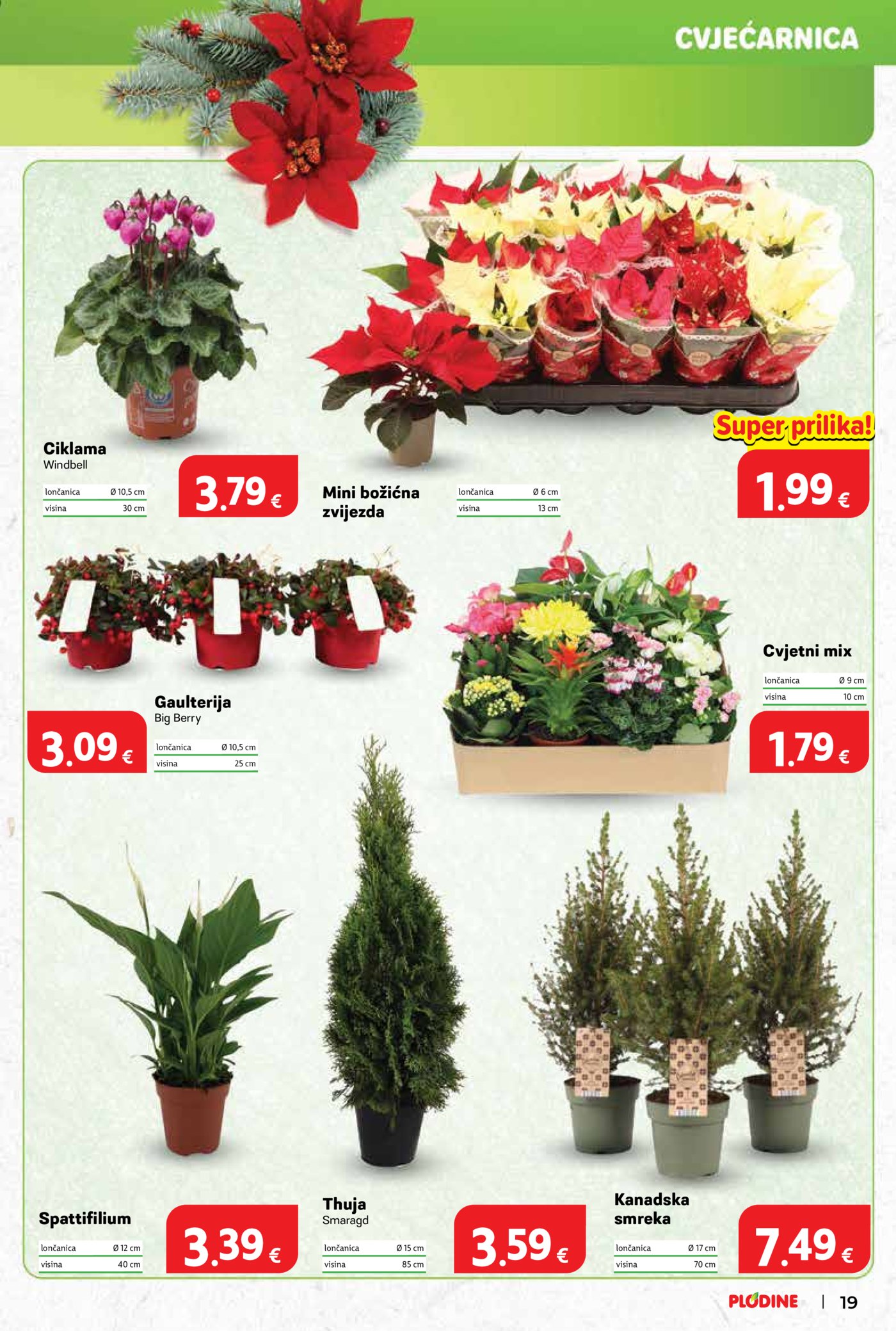 Plodine katalog Akcija 12.11. - 17.11.2025.