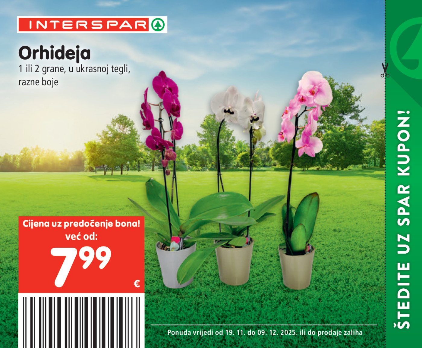 INTERSPAR BON katalog Akcija 19.11. - 09.12.2025.